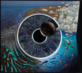 Pink Floyd | Pulse (Live)