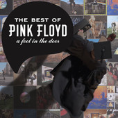 Pink Floyd | The Best of Pink Floyd: A Foot In the Door (Remastered)